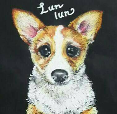 Dogs Friendship 15角サンプル 01