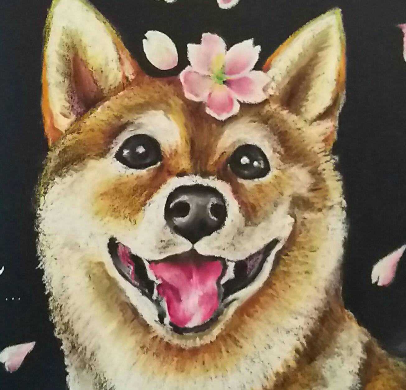 Dogs Friendship 15角サンプル 02